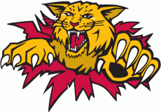 Moncton Wildcats 1996 97-Pres Primary Logo heat sticker