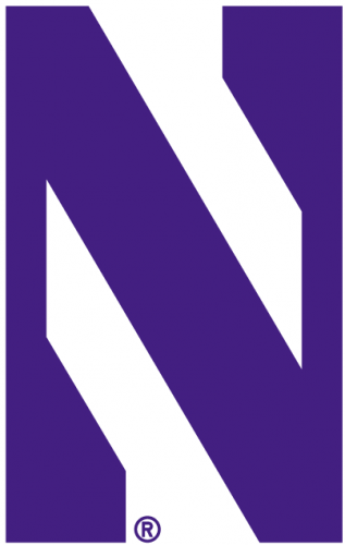 Northwestern Wildcats 1981-2011 Alternate Logo custom vinyl decal