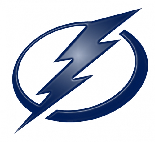 Tampa Bay Lightning Plastic Effect Logo custom vinyl decal