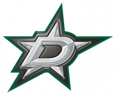 Dallas Stars Plastic Effect Logo custom vinyl decal