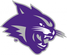 Abilene Christian Wildcats 2013-Pres Partial Logo custom vinyl decal