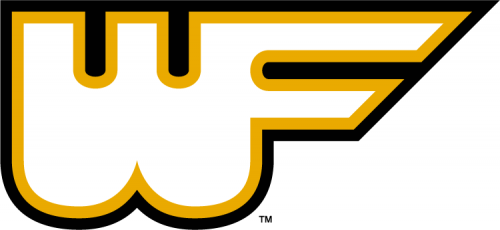 Wake Forest Demon Deacons 1977-1985 Alternate Logo custom vinyl decal