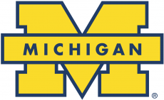 Michigan Wolverines 1996-Pres Secondary Logo 01 heat sticker