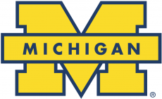 Michigan Wolverines 1996-Pres Secondary Logo 01 custom vinyl decal