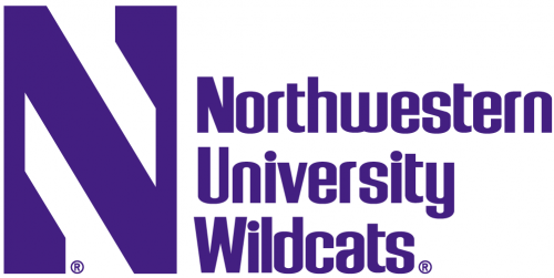 Northwestern Wildcats 1981-Pres Wordmark Logo 03 heat sticker