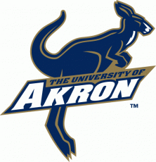 Akron Zips 2002-2007 Alternate Logo heat sticker