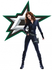 Dallas Stars Black Widow Logo heat sticker