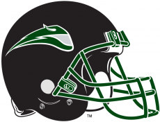 Portland State Vikings 1999-2015 Helmet custom vinyl decal