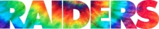 Oakland Raiders rainbow spiral tie-dye logo heat sticker