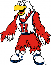 Hartford Hawks 1995-Pres Mascot Logo custom vinyl decal