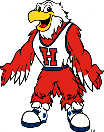 Hartford Hawks 1995-Pres Mascot Logo custom vinyl decal