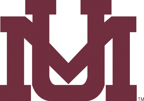 Montana Grizzlies 1996-Pres Secondary Logo 03 custom vinyl decal