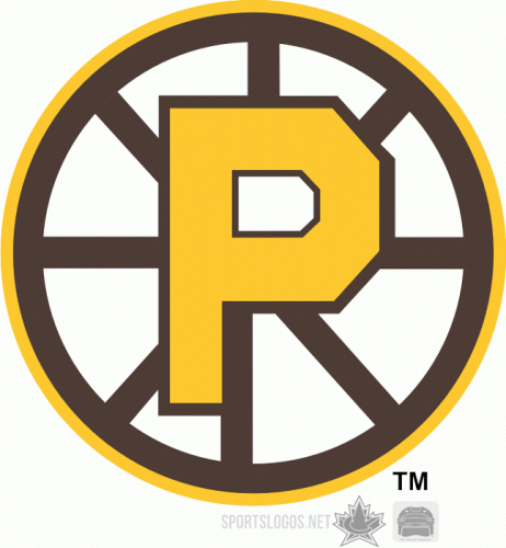 Providence Bruins 2009 10 Alternate Logo custom vinyl decal