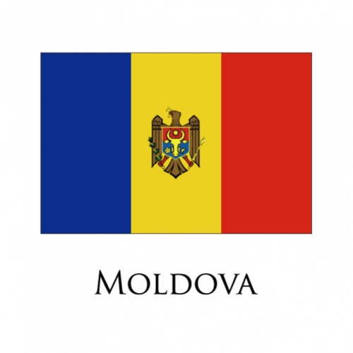 Moldova flag logo custom vinyl decal