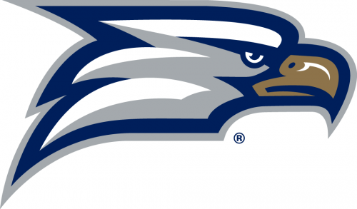 Georgia Southern Eagles 2010-Pres Secondary Logo heat sticker