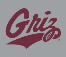 Montana Grizzlies 1996-Pres Alternate Logo 05 heat sticker