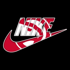 Atlanta Hawks Nike logo heat sticker