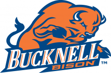 Bucknell Bison 2002-Pres Primary Logo heat sticker