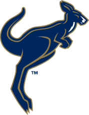 Akron Zips 2002-2007 Alternate Logo custom vinyl decal