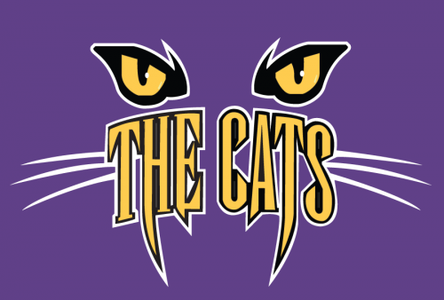 Western Carolina Catamounts 1996-2007 Alternate Logo 06 heat sticker