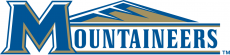 Mount St. Marys Mountaineers 2004-Pres Alternate Logo 02 custom vinyl decal
