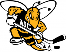 AIC Yellow Jackets 2009-Pres Alternate Logo 09 heat sticker