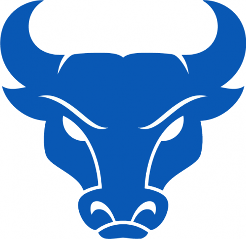 Buffalo Bulls 2016-Pres Secondary Logo heat sticker