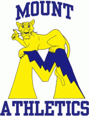 Mount St. Marys Mountaineers 1995-2003 Primary Logo heat sticker