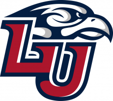 Liberty Flames 2013-Pres Primary Logo custom vinyl decal