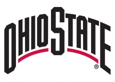 Ohio State Buckeyes 2013-Pres Wordmark Logo 01 custom vinyl decal