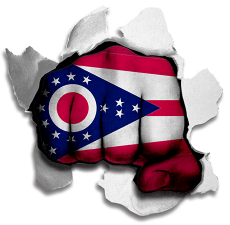 Fist Ohio State Flag Logo custom vinyl decal