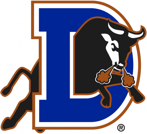 Durham Bulls 1998-Pres Primary Logo heat sticker