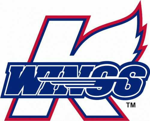 Kalamazoo Wings 2009 10-Pres Primary Logo custom vinyl decal