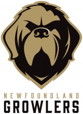 Newfoundland Growlers 2018 19-Pres Primary Logo heat sticker