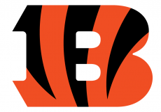 Cincinnati Bengals 2004-Pres Primary Logo heat sticker