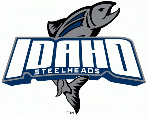 Idaho Steelheads 2011 12-Pres Primary Logo custom vinyl decal