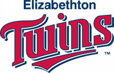 Elizabethton Twins 1987-Pres Wordmark Logo heat sticker