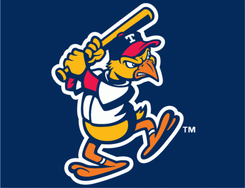 Toledo Mud Hens 2006-Pres Cap Logo 2 heat sticker