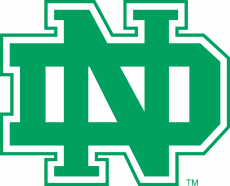 North Dakota Fighting Hawks 1974-2001 Alternate Logo heat sticker