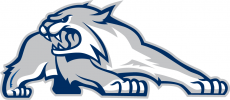 New Hampshire Wildcats 2000-Pres Alternate Logo 03 heat sticker