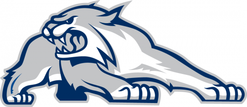 New Hampshire Wildcats 2000-Pres Alternate Logo 03 custom vinyl decal