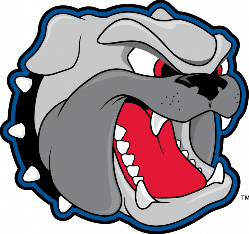 North CarolinaAsheville Bulldogs 1998-Pres Secondary Logo custom vinyl decal