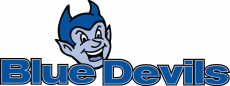 Central Connecticut Blue Devils 1994-2010 Alternate Logo heat sticker