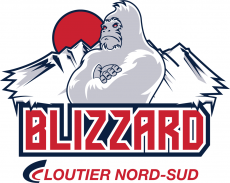 Trois-Rivieres Blizzard 2014 15-Pres Primary Logo custom vinyl decal