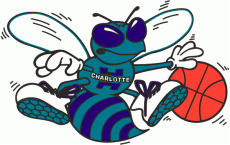 Charlotte Hornets 1988 89-2001 02 Alternate Logo heat sticker