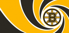 007 Boston Bruins logo heat sticker