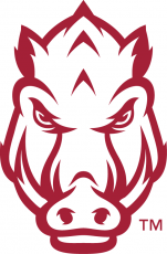 Arkansas Razorbacks 2014-Pres Secondary Logo custom vinyl decal