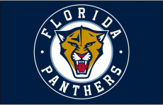 Florida Panthers 2009 10-2011 12 Jersey Logo heat sticker