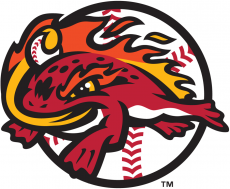 Florida Fire Frogs 2017-Pres Alternate Logo heat sticker