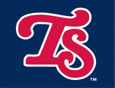 Tennessee Smokies 2007-2014 Cap Logo heat sticker